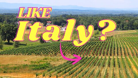 Discover a Hidden Gem Italian Owned Winery in North Carolina