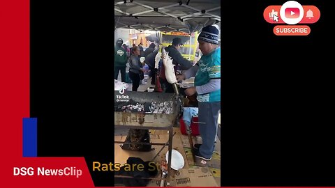 Delicious Rats are Street Food in NYC, still