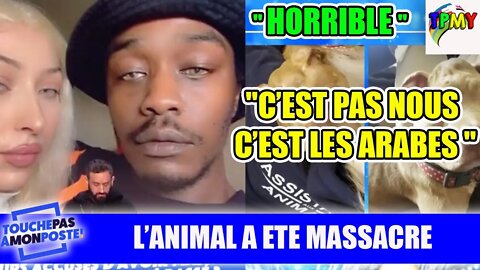 ROP et ROCKA INFLUENCEURS accusés d'avoir massacré leur chien! Leur version des faits sur TPMP