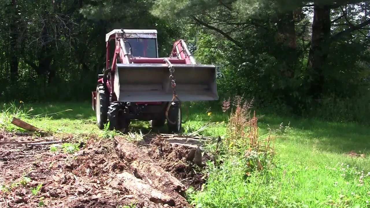 CLEARING SPOT FOR WOOD PROSESSOR