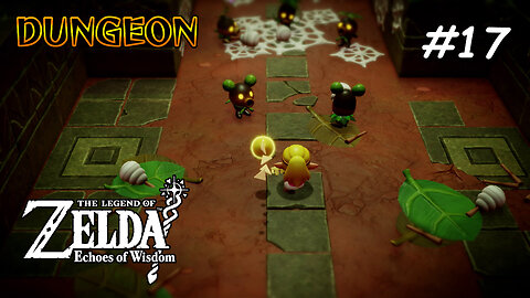 ZELDA - Echoes of Wisdom #17