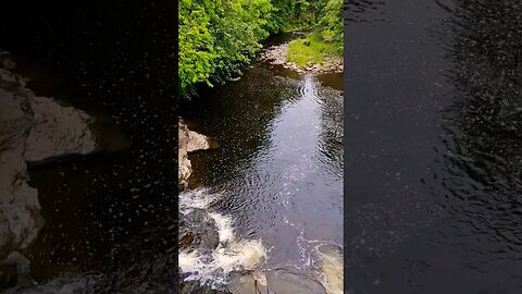 Endrick Water at Gartness on The West Highland Way #westhighlandway #shorts #hiking #nature