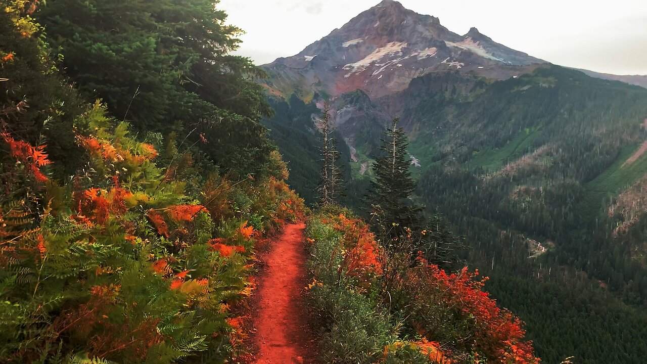 BITE-SIZED WILDS | STUNNING & VIBRANT Alpenglow Views of Mount Hood! | Timberline Loop | Oregon | HD