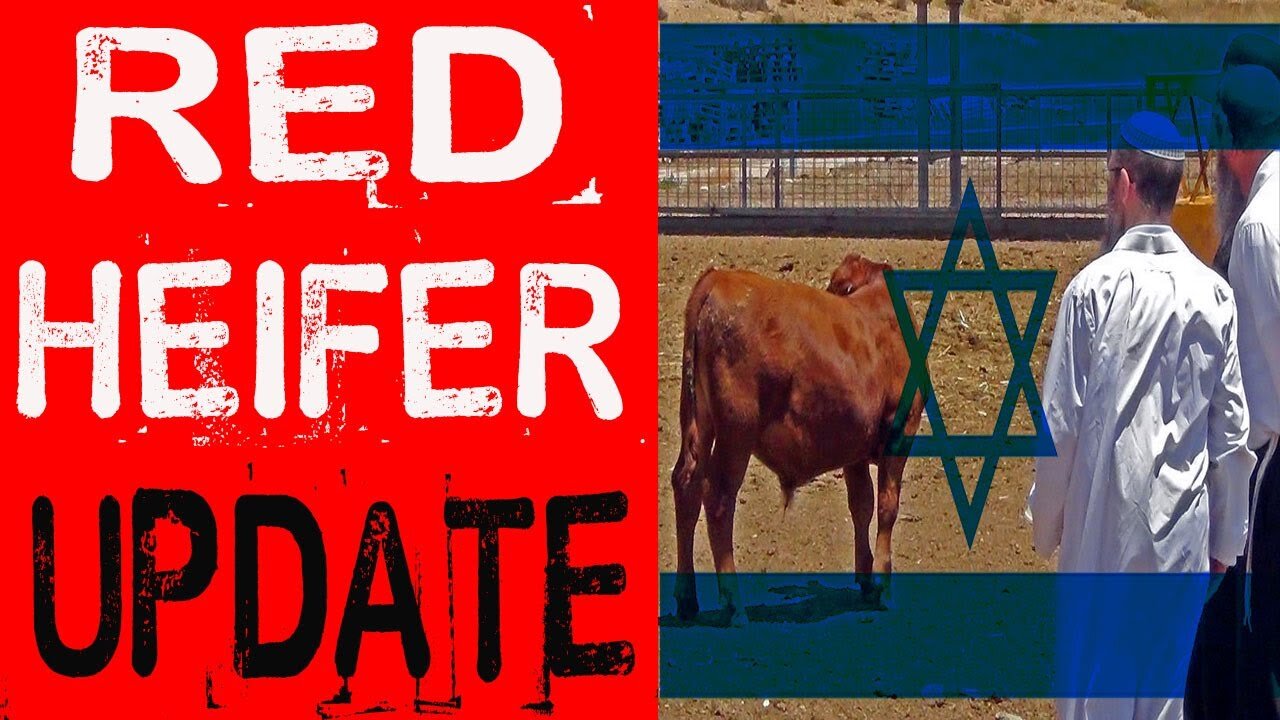 RED Heifer Bible Prophecy Update for March 2021