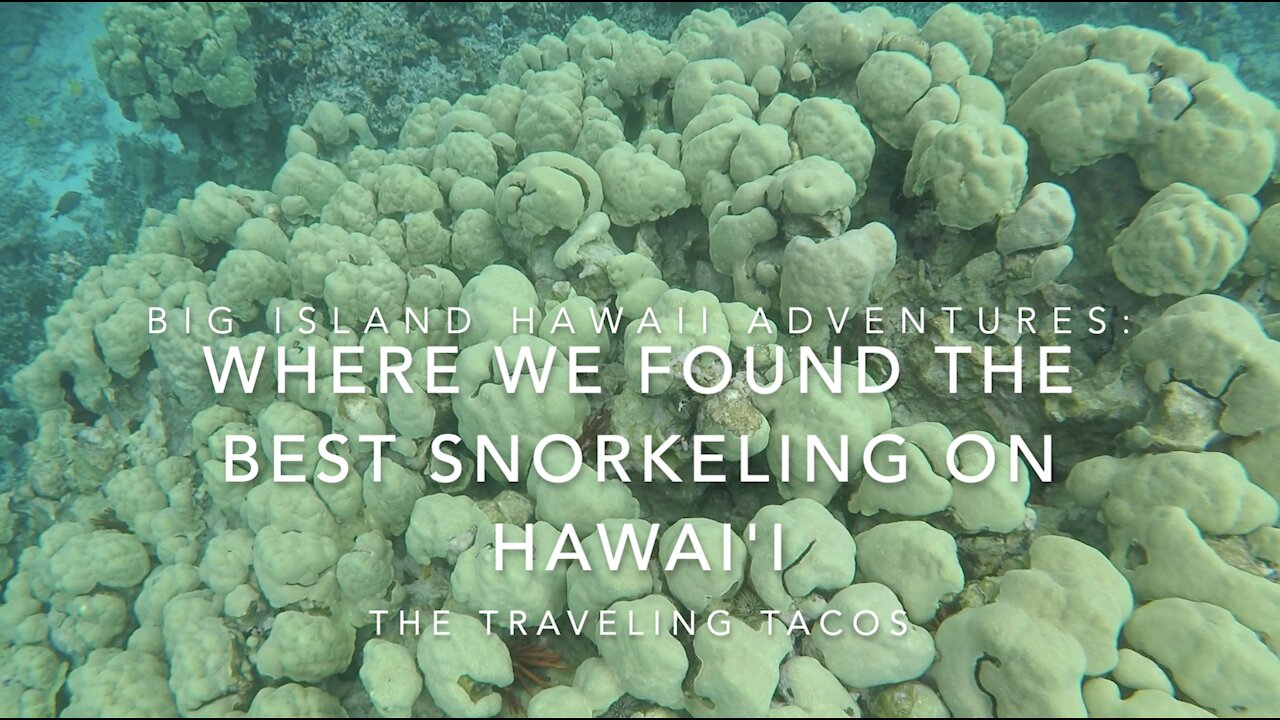 The Best Snorkeling We Found on Hawai'i - The Traveling Tacos - Exploring The Big Island Hawai'i