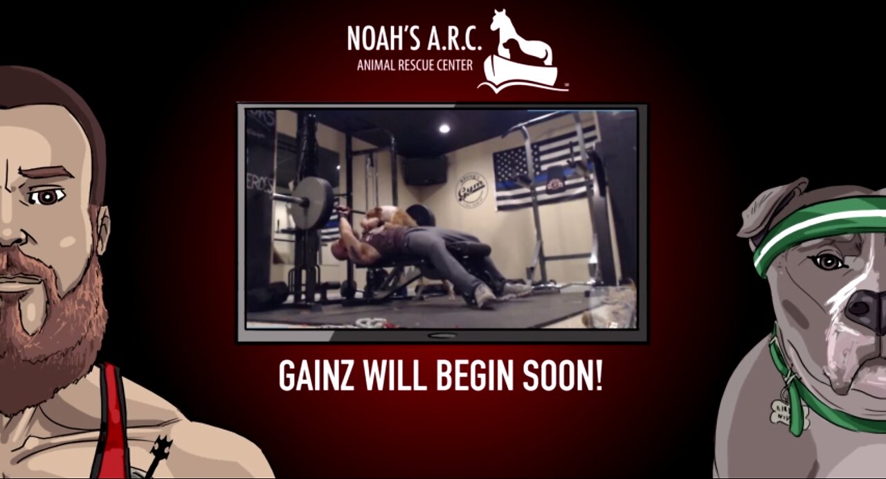 Lifting Session w/Hank-a-Tank [Week 18] - Chest // Animal Rescue Stream :)