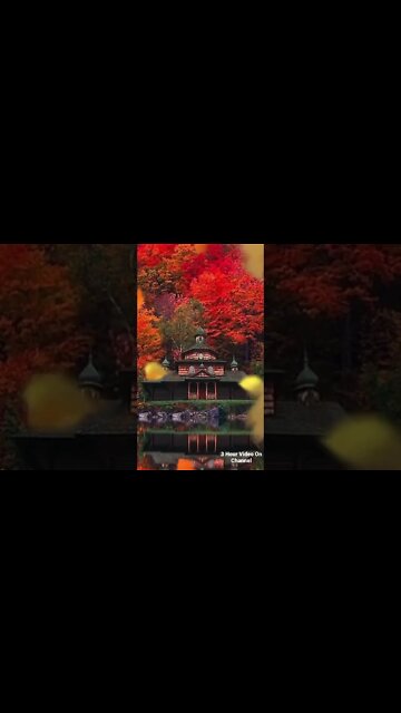 Experience The Fall Season With Some Relaxing Jazz