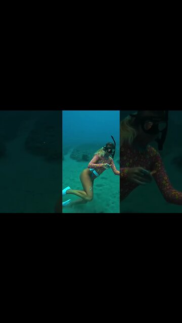 Britt found a new shell in the middle of sea