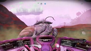 No Man's Sky - Ship Hunting