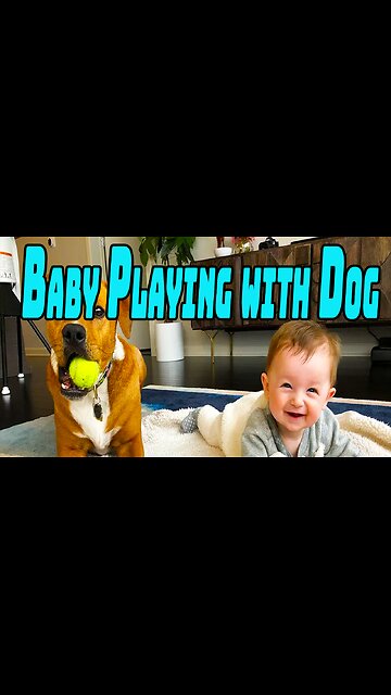 Baby Playing with Dog