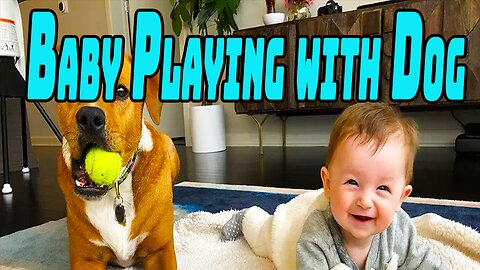 Baby Playing with Dog