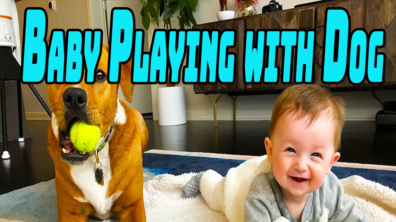 Baby Playing with Dog