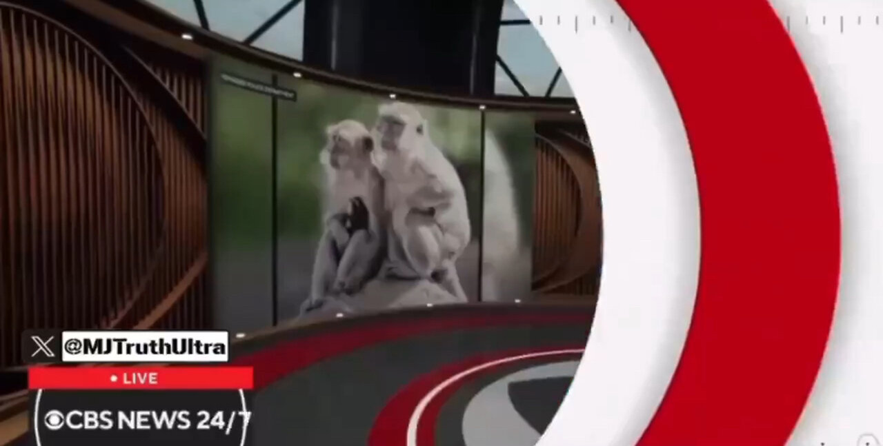 40 Monkeys escaped from a Research Facility in South Carolina