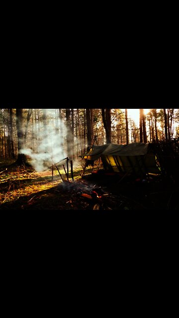 Bushcraft Tarp Shelter Camping. Solo Overnight Camp in a Lean to. Lightweight Backpacking. #shorts