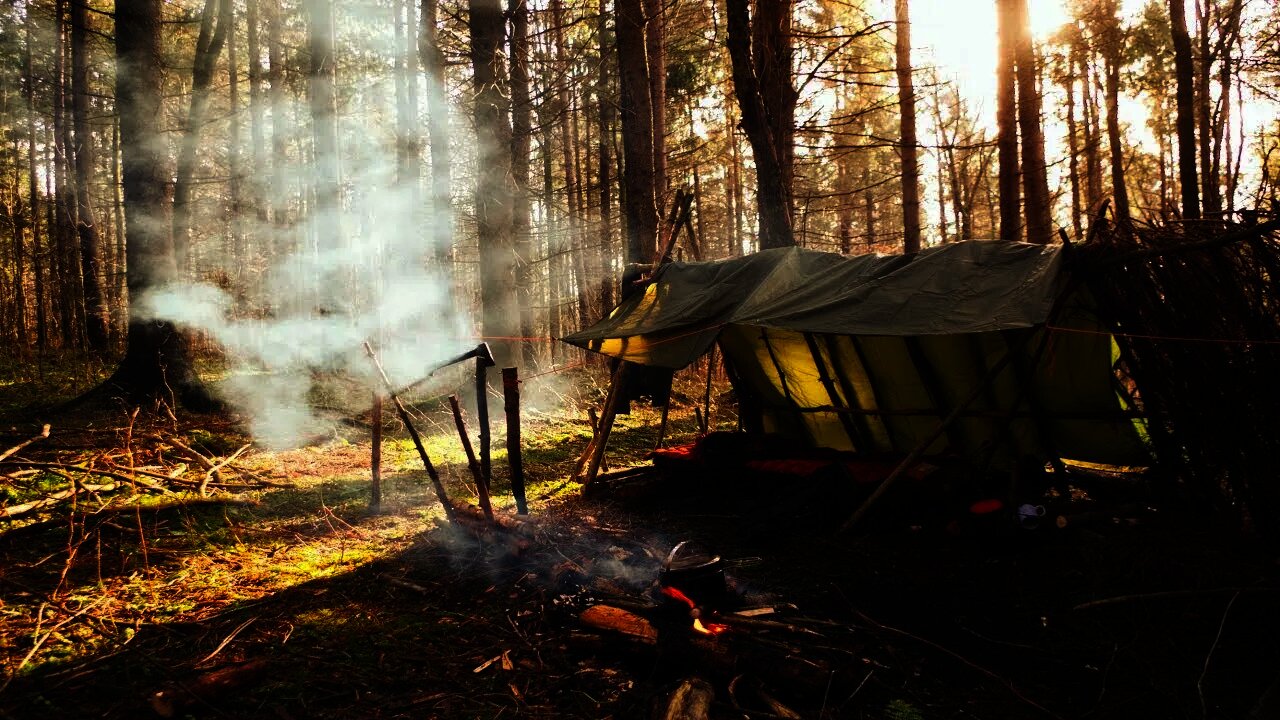 Bushcraft Tarp Shelter Camping. Solo Overnight Camp in a Lean to. Lightweight Backpacking. #shorts