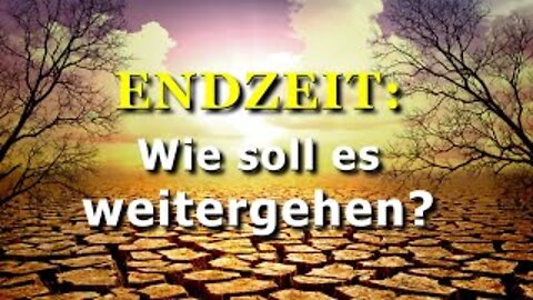 206 - Wie soll es weitergehen?