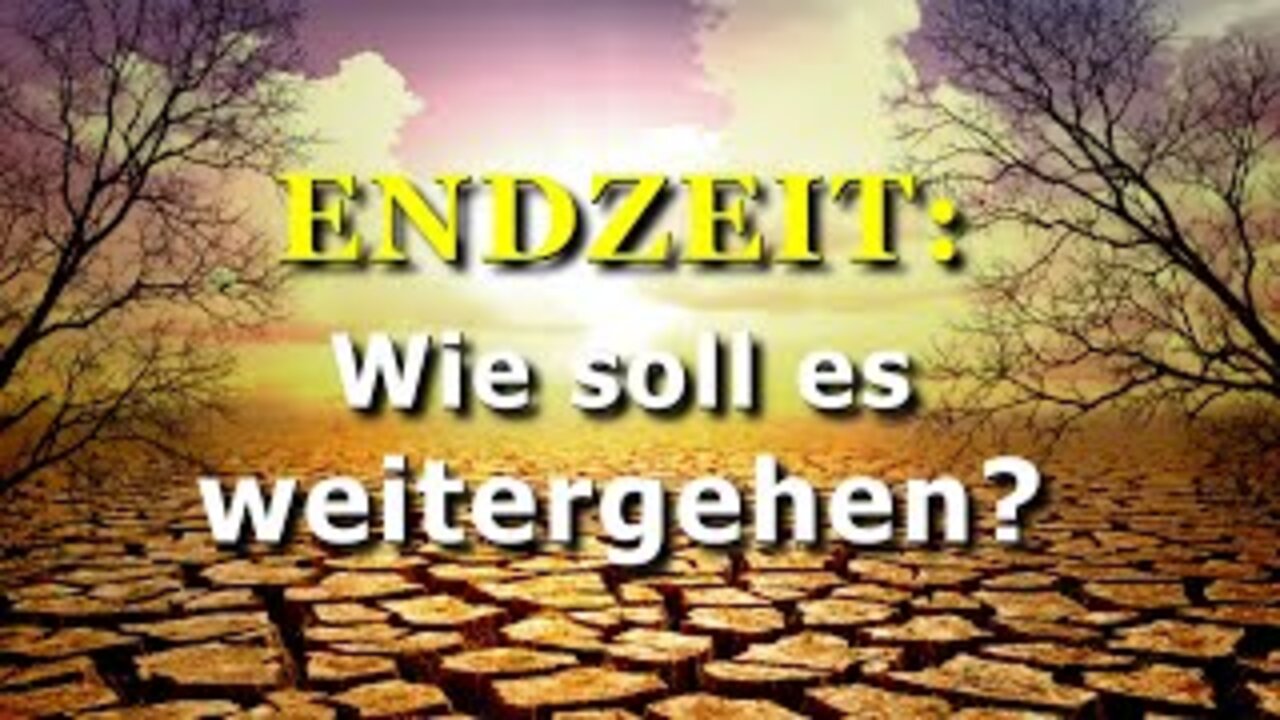 206 - Wie soll es weitergehen?