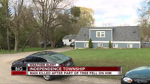Tree falls, kills Waterford Township man