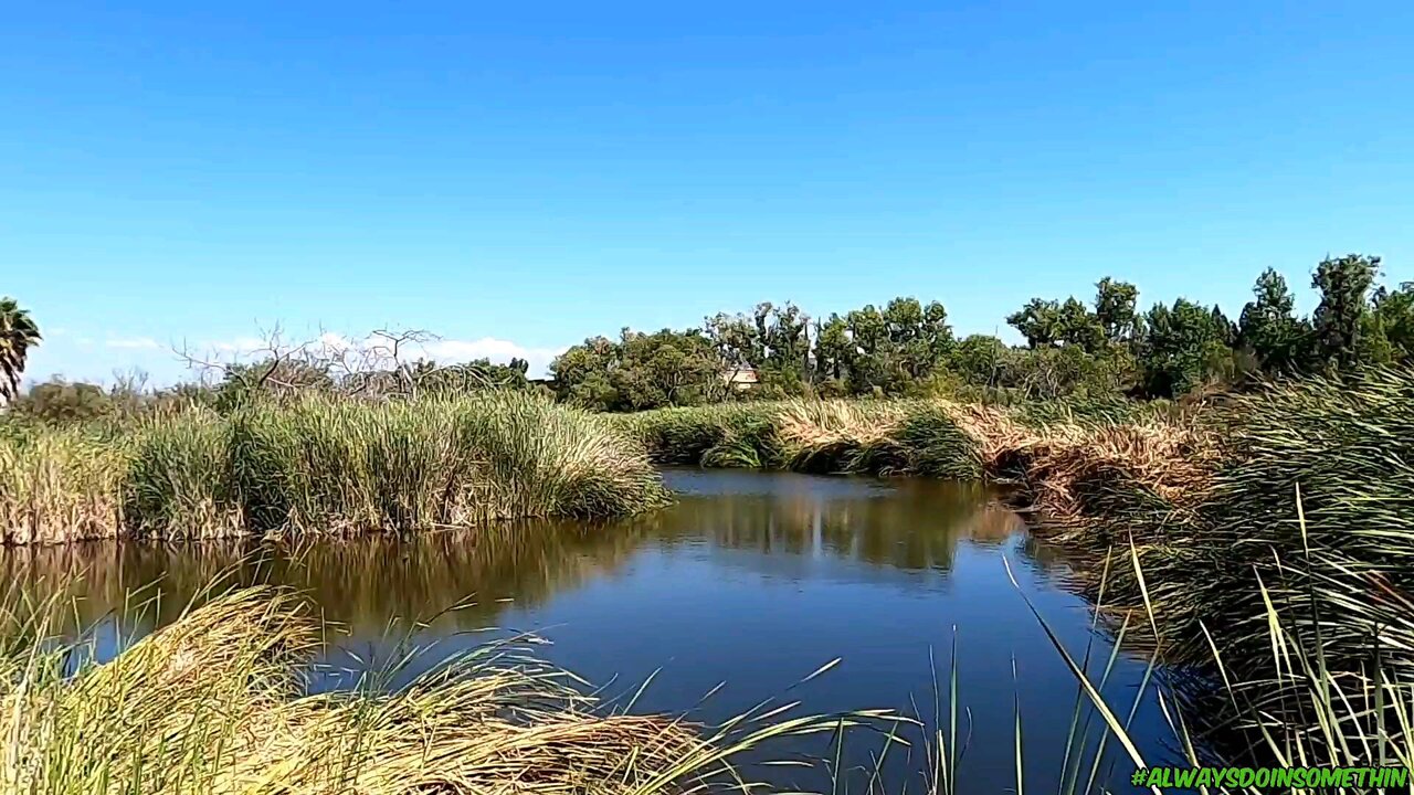 Behind Walmart in Santee (California)