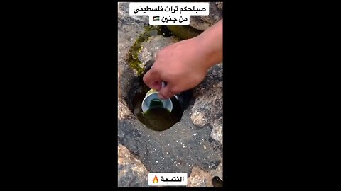 Olive oil how is made