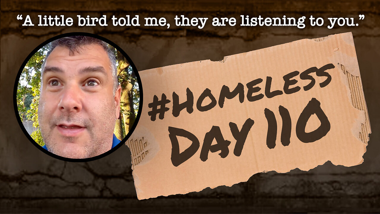 #Homeless Day 110: “A little bird told me, they are listening to you.”