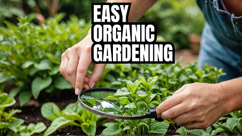 Fun Organic Pest Prevention Methods for Beginner Gardeners