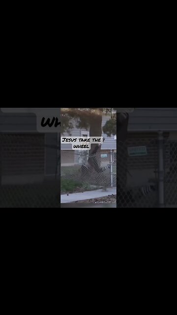 Send it! #shortsvideo #comedian #shortvideo #short #shorts #jump #fly #tree #lord #stunt