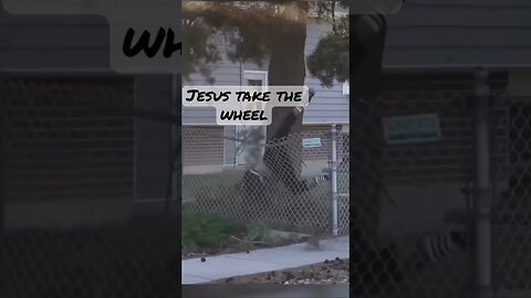 Send it! #shortsvideo #comedian #shortvideo #short #shorts #jump #fly #tree #lord #stunt