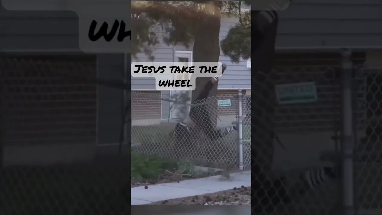 Send it! #shortsvideo #comedian #shortvideo #short #shorts #jump #fly #tree #lord #stunt
