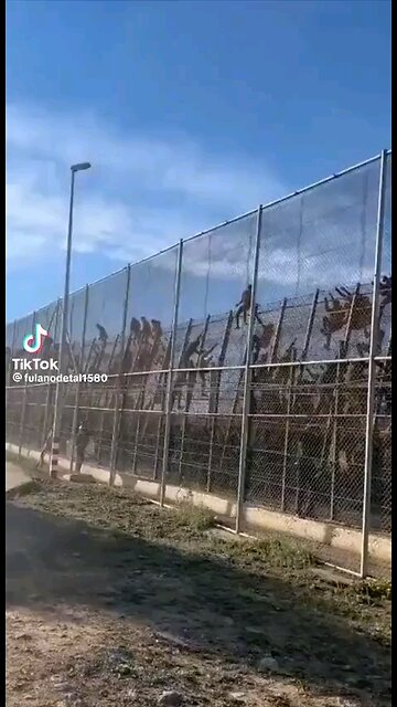 Biden treason at the southern border