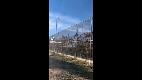Biden treason at the southern border