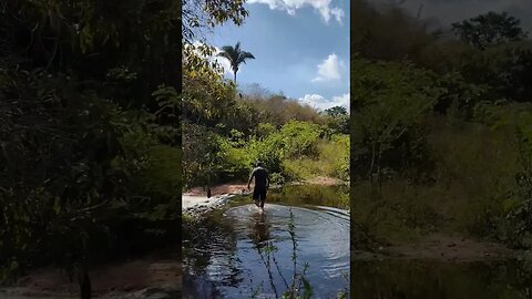 Ponte da Limeira