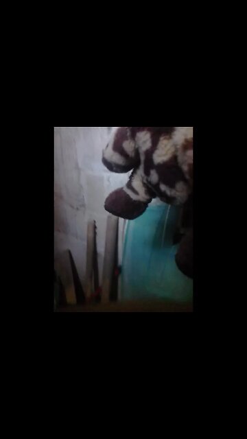 lavando um urso pelucia maquina 6 #shorts