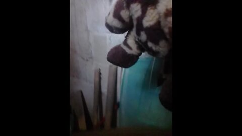lavando um urso pelucia maquina 6 #shorts