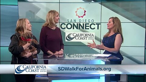 Cal Coast Credit Union will be out in full force at the SD Humane Society's annual Walk for Animals