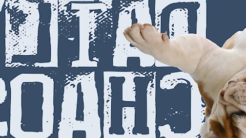TECH TEST! ~ Daily Chaos