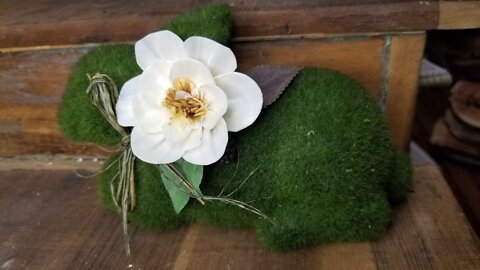 Painting a Blackberry Blossom