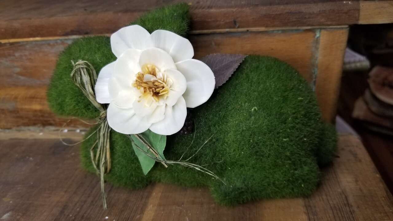 Painting a Blackberry Blossom