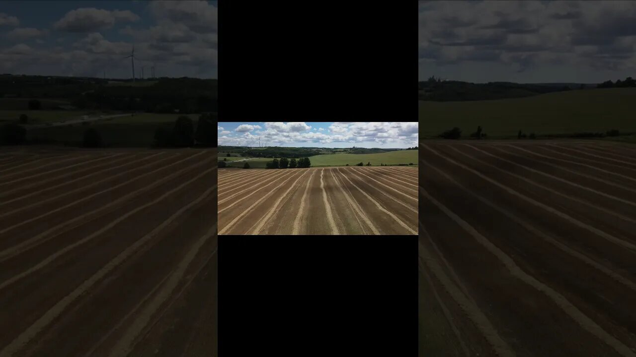 Hay Field Drone Flight #shortsvideo #shorts