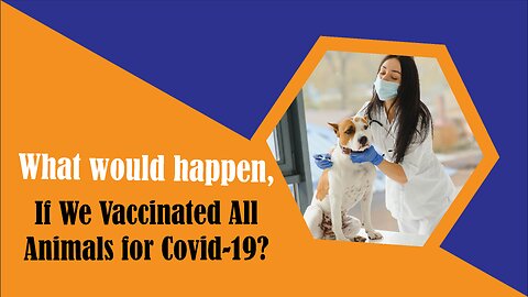 What would happens, If We Vaccinated All Animals for Covid-19? #shorts #shortvideo #skw #shortsfeed