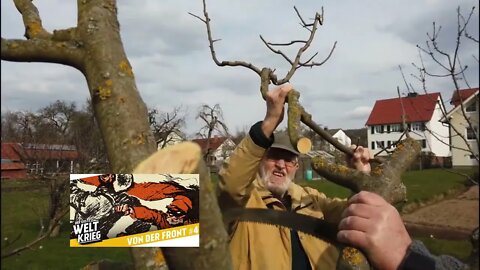 Die Okkupation erklärt anhand eines Baumes