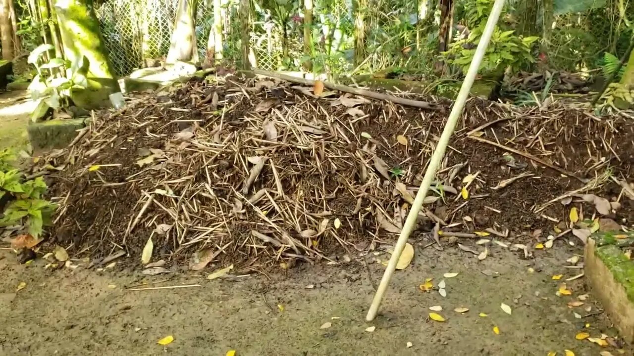Esterco de Cabrito na adubação de hortas e pomares