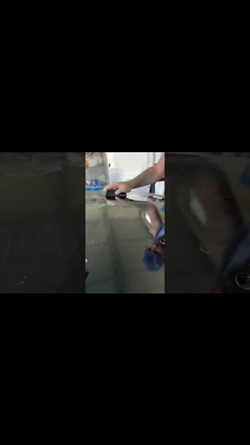 Finishing wet sanding round 2