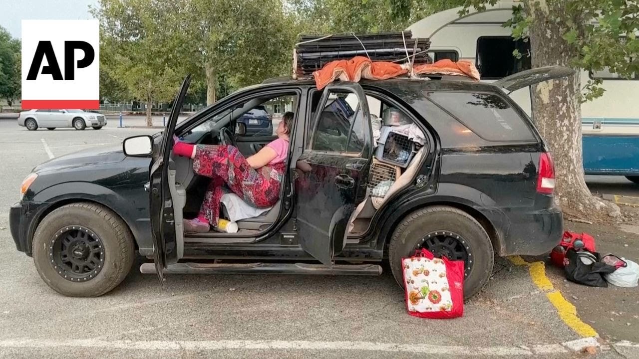 A California wildfire evacuee shelters in her car with her 7 dogs|News Empire ✅