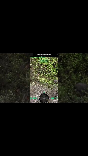 We've searched all the white lines