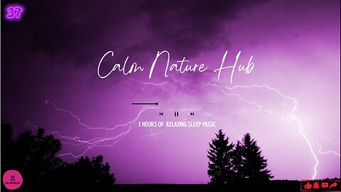 Rainforest #rainsounds for Sleeping or Studying | White Noise #37