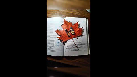 aesthetic book mark 🔖🔖🔖🔖