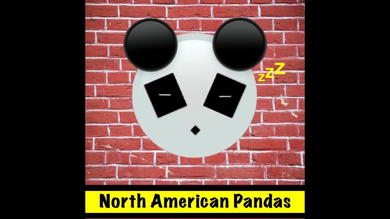 James X & the North American Pandas-Let me lead the way