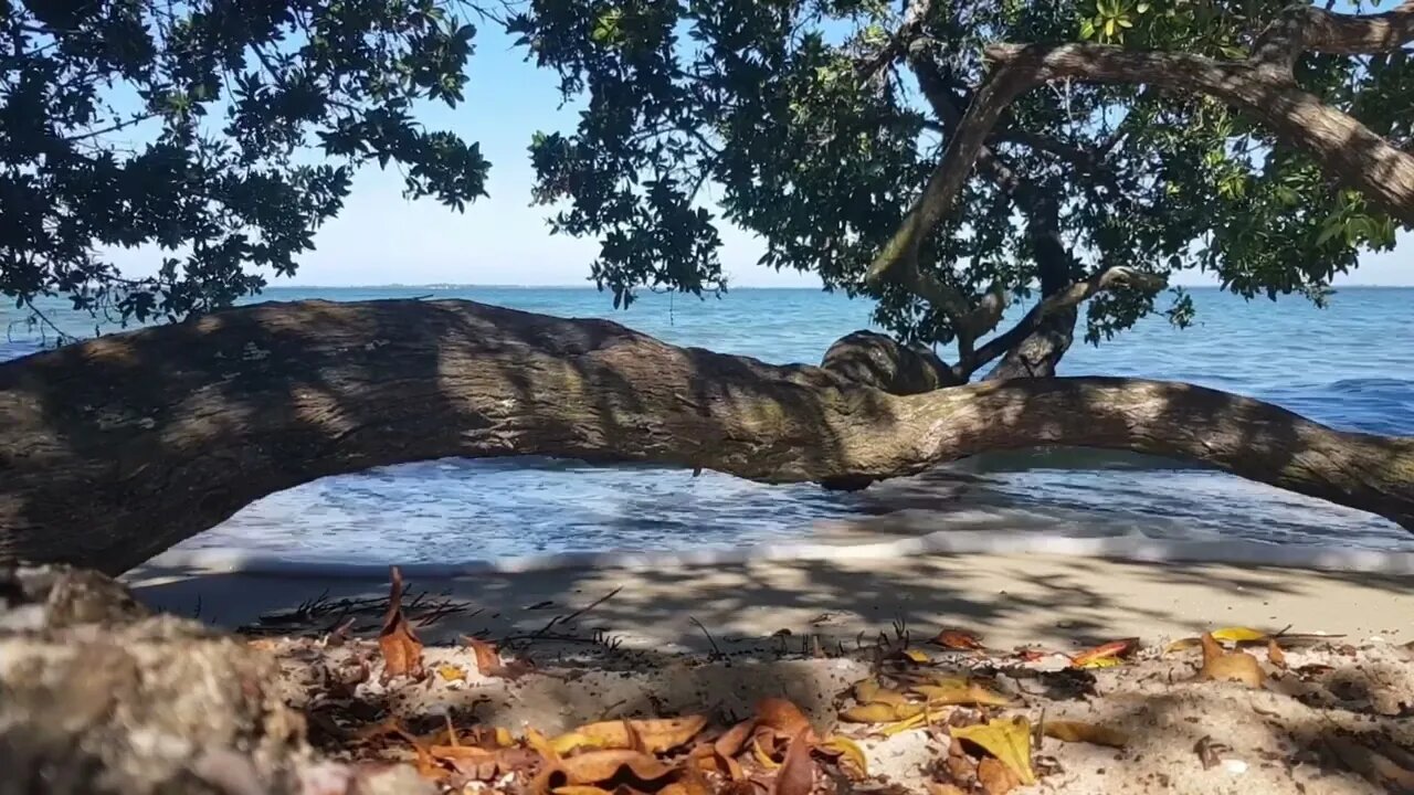 🌊 SOM DO MAR | ONDAS RELAXANTES 🌊 ESCUTE O SOM DO MAR, LIBERE O ESTRESSE | BARULHO DO MAR RELAXANTE