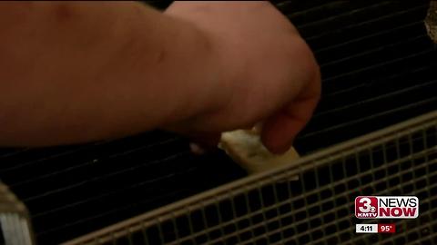 Five star meals at the Med Center